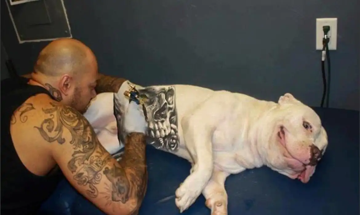 cachorro_tatuado02.webp